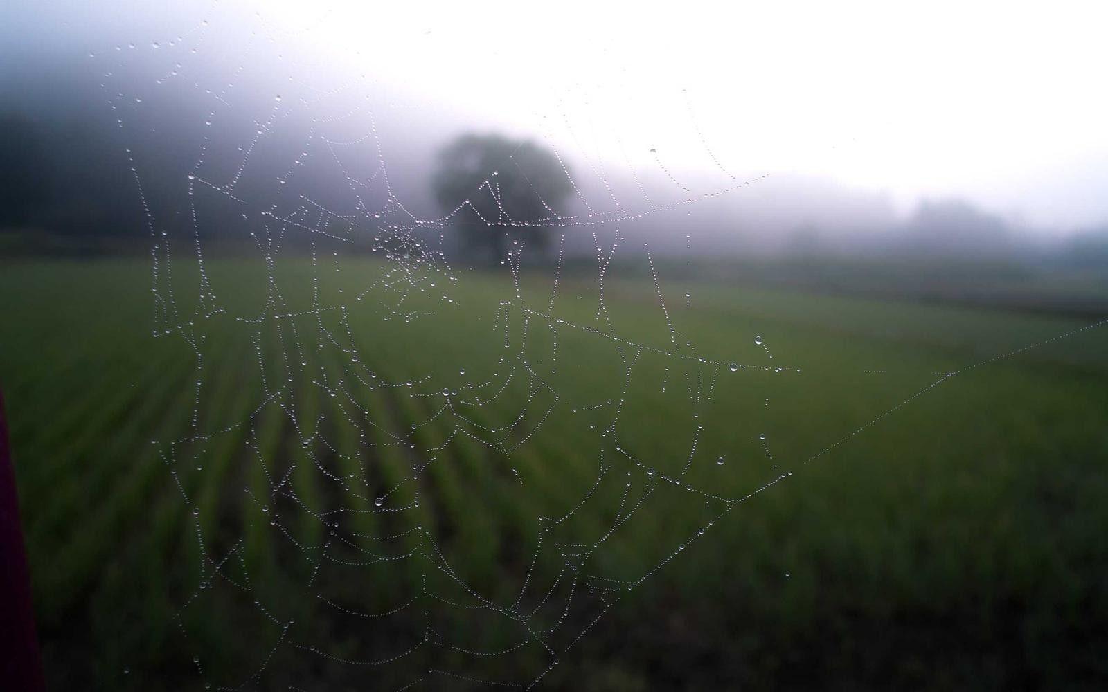 Libra zodiac sign illustration with scales symbol