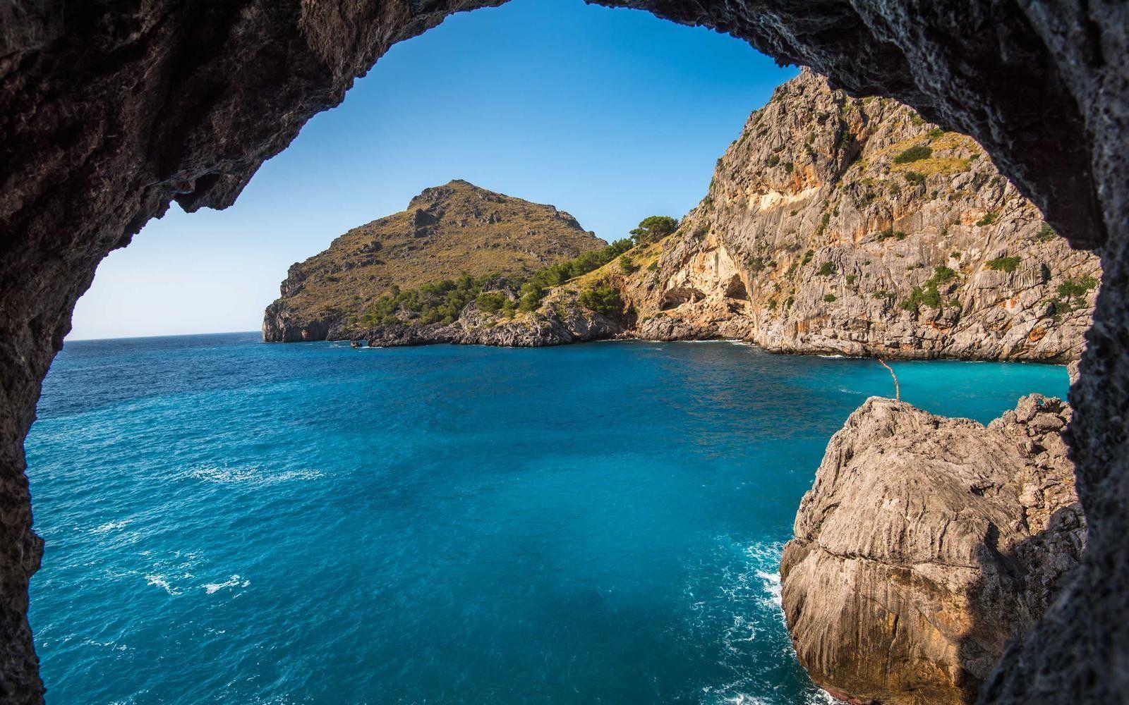 Taurus zodiac sign illustration