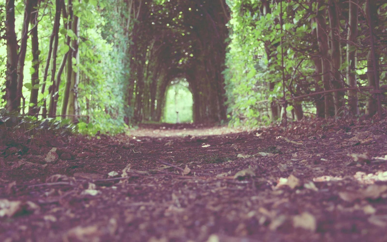 Aries ram symbol against a fiery night sky for May 2026 horoscope