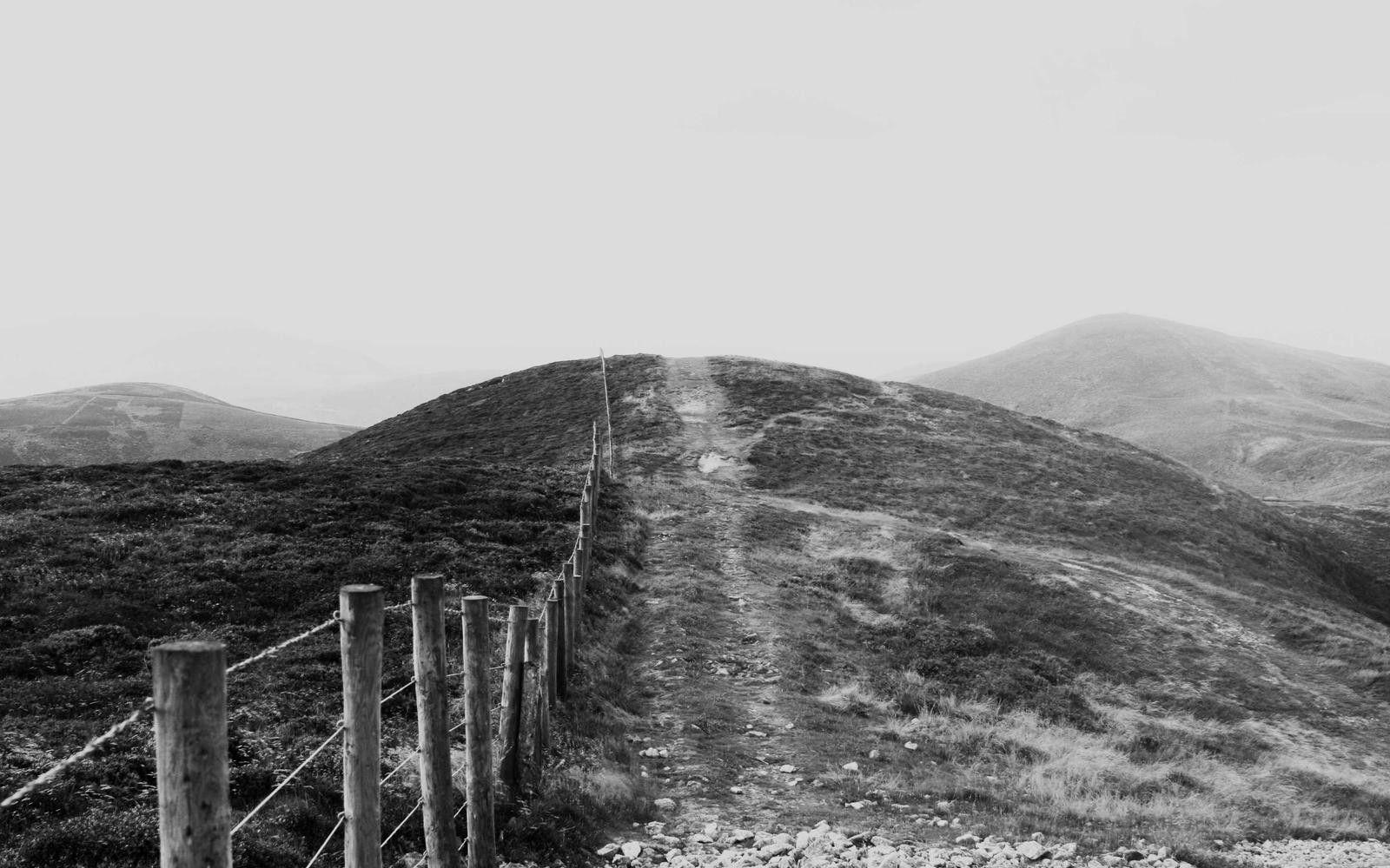 Leo zodiac sign illustration